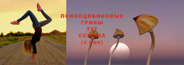 MESCALINE Богородицк
