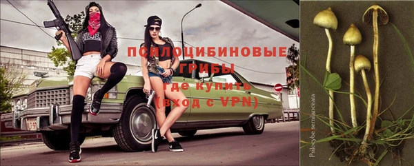 ешки Богородск