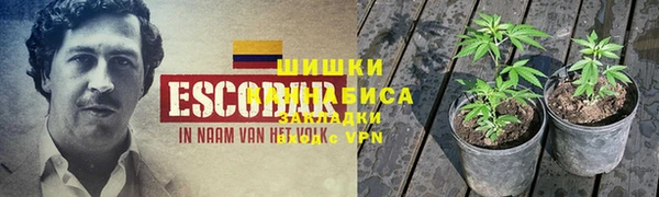ешки Богородск