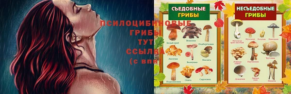 альфа пвп Богданович