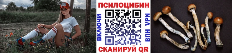 Галлюциногенные грибы MAGIC MUSHROOMS Гай
