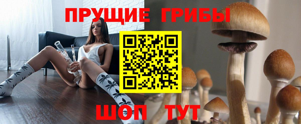 Галлюциногенные грибы Psilocybine cubensis  Вход с VPN  Гай  Псилоцибиновые грибы MAGIC MUSHROOMS 