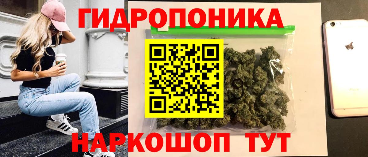 Шишки марихуана планчик  Бошки Шишки AK-47  Марихуана гибрид  Вход с VPN  Гай  Бошки марихуана семена 