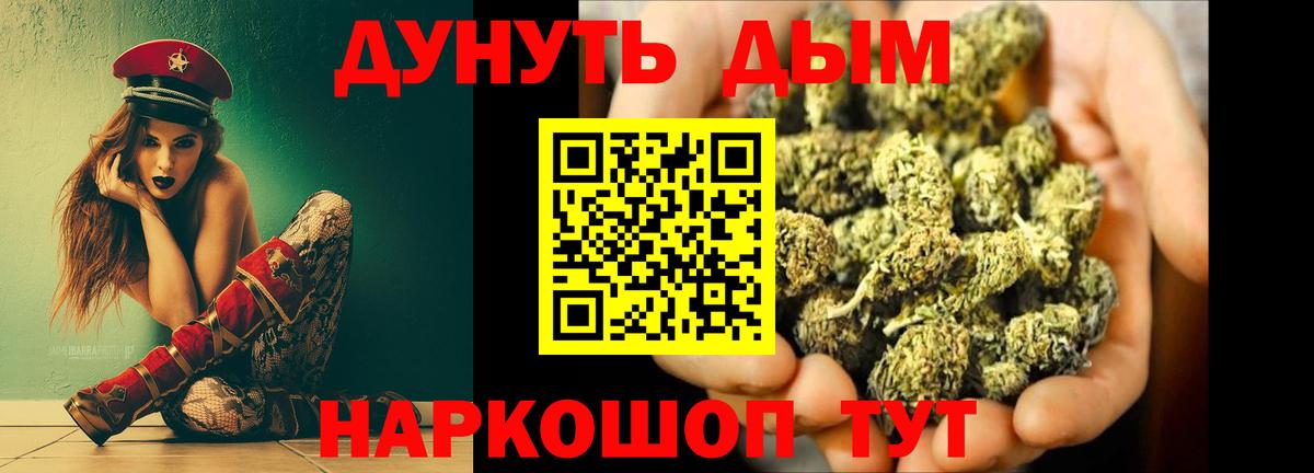 Конопля сатива Гай